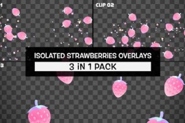 Isolated Strawberries Overlays Pack 51301463