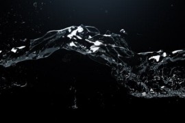 Watertrail Logo Reveal 19766951