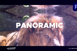 Light Leaks Panoramic Transitions Vol. 02 for Premiere Pro 46211497