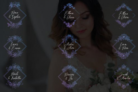 Wedding Titles - Diamond Frames 51073211