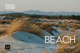 CreativeMarket – 15 Beach Bliss Lightroom Presets 291169638
