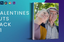 Valentines Luts Pack V1 43324859