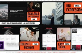 Multi Screen Website Promo 45177980