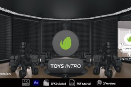 Toys Intro 51102752