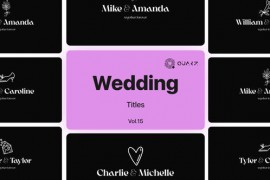 Wedding Titles for Premiere Pro Vol. 15 49053482
