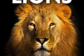 Sound Ideas Lions Sound Effects FLAC