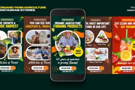Organic Food Instagram Stories MOGRT 46320969