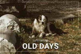 FilterGrade – 30 Old Days LUT Collection