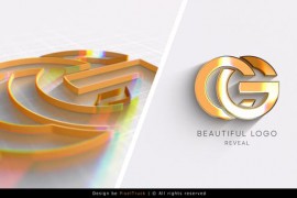 Beautiful logo reveal 51475492