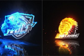 Epic Fire Logo Reveal Gold&Silver 33630198