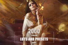 Eldamar Studio – 2000 Filmmaking LUTs and Presets Bundle