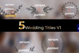 Wedding Titles Leaf labels Pack 01 46199746