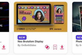 2024.1.6.3.Set.AE.Templates