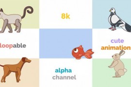 8K Pet Loops Pack 1 28758794