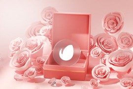 Rose Box Valentine Logo Reveal 3D 42900510