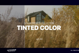 Tinted LUT Collection Vol. 04 for DaVinci Resolve 46156189