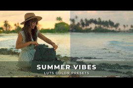 Summer Vibes Luts 43236091