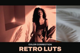 LUTs Retro 41961904