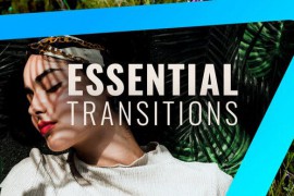 Essential Transitions Pack: 28 Must-Have Effects in 4 Styles with Color Control for Premiere Pro 447