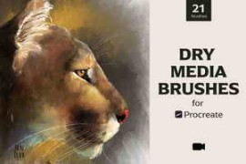 CreativeMarket – Dry Media Brushes – Procreate 5488435