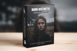 Dark Aesthetic Moody Cinematic Film LUTs Pack 49871859