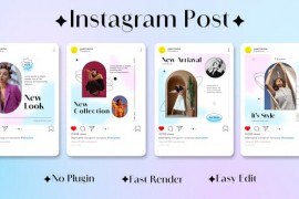 Instagram Posts 48999268