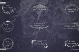Wedding Titles | DaVinci Resolve Template 48079233