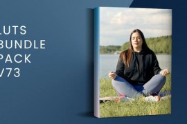 LUTs Bundle Pack V73 | FCPX 49427587