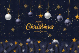 Merry Christmas And Happy New Year Intro 49001773