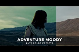 Adventure Moody Luts 43491052