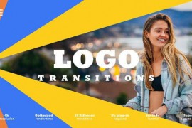 Logo Transition 52002331