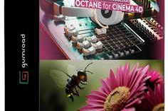 Gumroad – The Ultimate Introduction to Octane For Cinema 4d