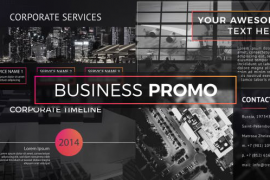 Business Promo 19925068
