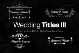 20 Wedding Titles III 48108344