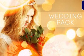 Wedding Titles 42791700