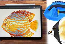 Udemy – Procreate – Illustrate Tropical Fishes & Scale Pattern Brush