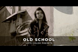Old School Luts 43607922