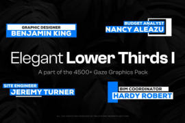 25 Elegant Lower Thirds I 48108464