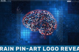 Brain Pin-Art Logo Reveal 44639127