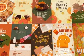 Thanksgiving Day Package 48918716