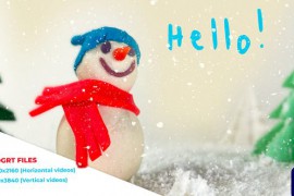 Christmas Snowman 49748791