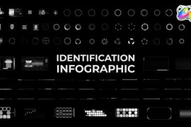 Identification HUD Infographic for FCPX 52123022