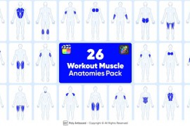 Workout Muscle Anatomies Pack For Final Cut Pro X 49834424