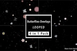 Butterflies Overlays Pack 21751687