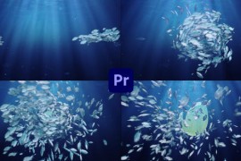 Ocean/Blue Sea Eco Fish Logo Text 48875271