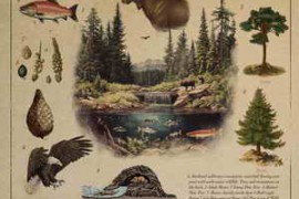 Field and Foley Alaskan Wilderness WAV-FANTASTiC