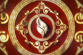 Luxury Chinese Logo 43094321