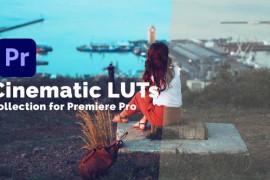 Cinematic LUTs Collection 50084931