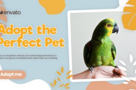 Adopt Pet Promo (MOGRT) 42815486