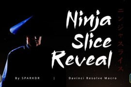 Ninja Slice Reveal Effect | Davinci Resolve Macro 48632269